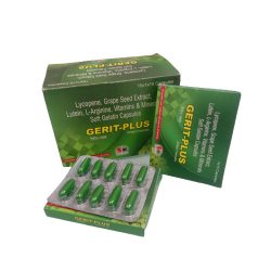 gerit-plus